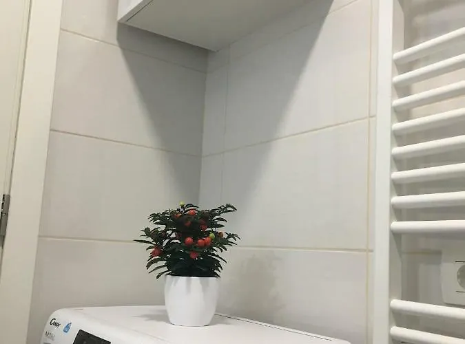 Narnia * スプリト